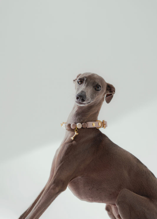 Signature Set nude