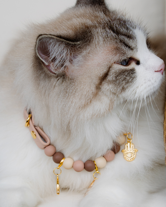 Signature Collar Gato Nude