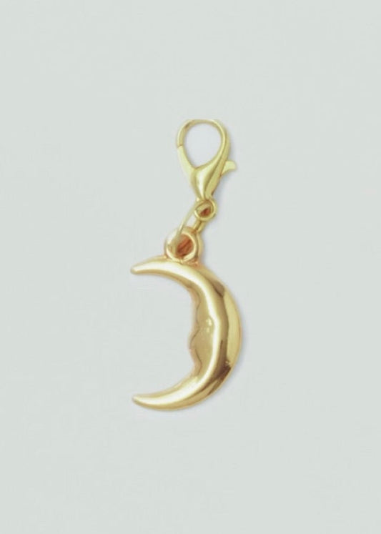 Charm luna