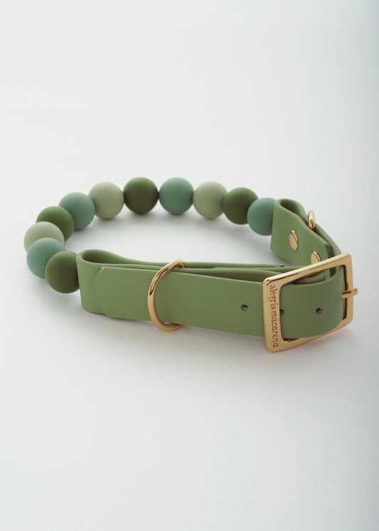 Signature Collar Verde