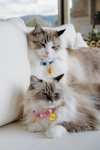 Signature Collar Gato Verde