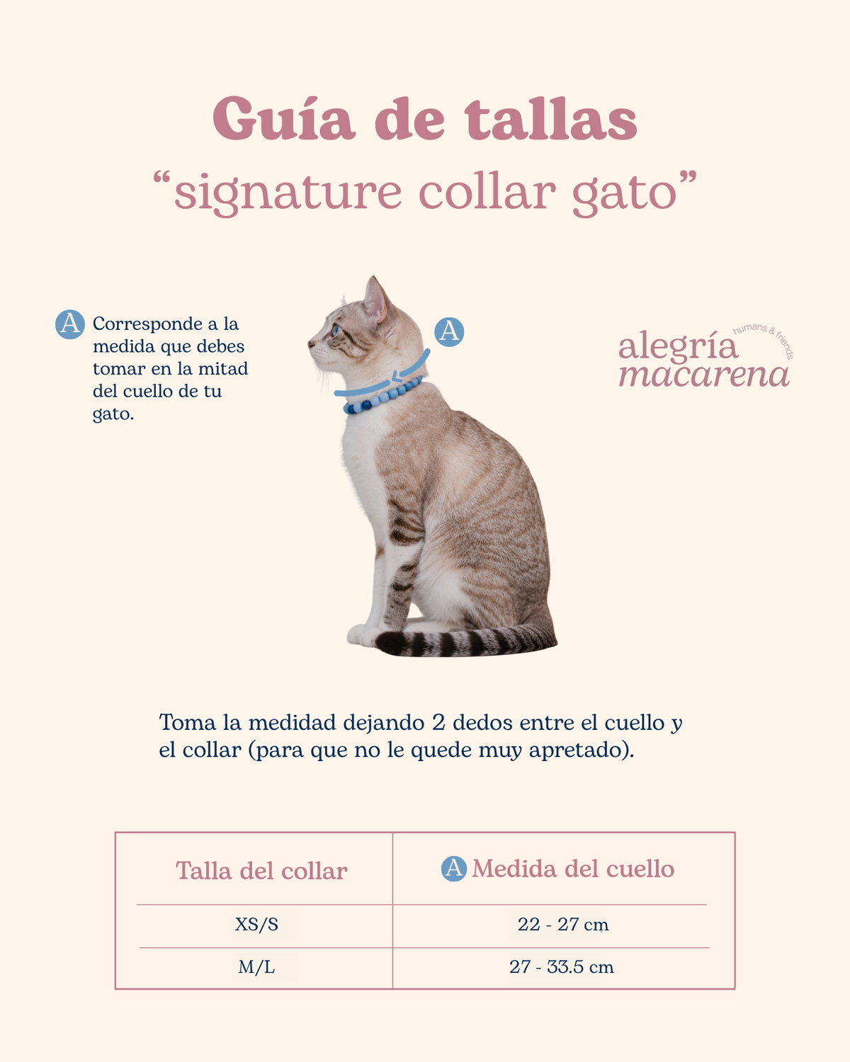 Signature Collar Gato Verde