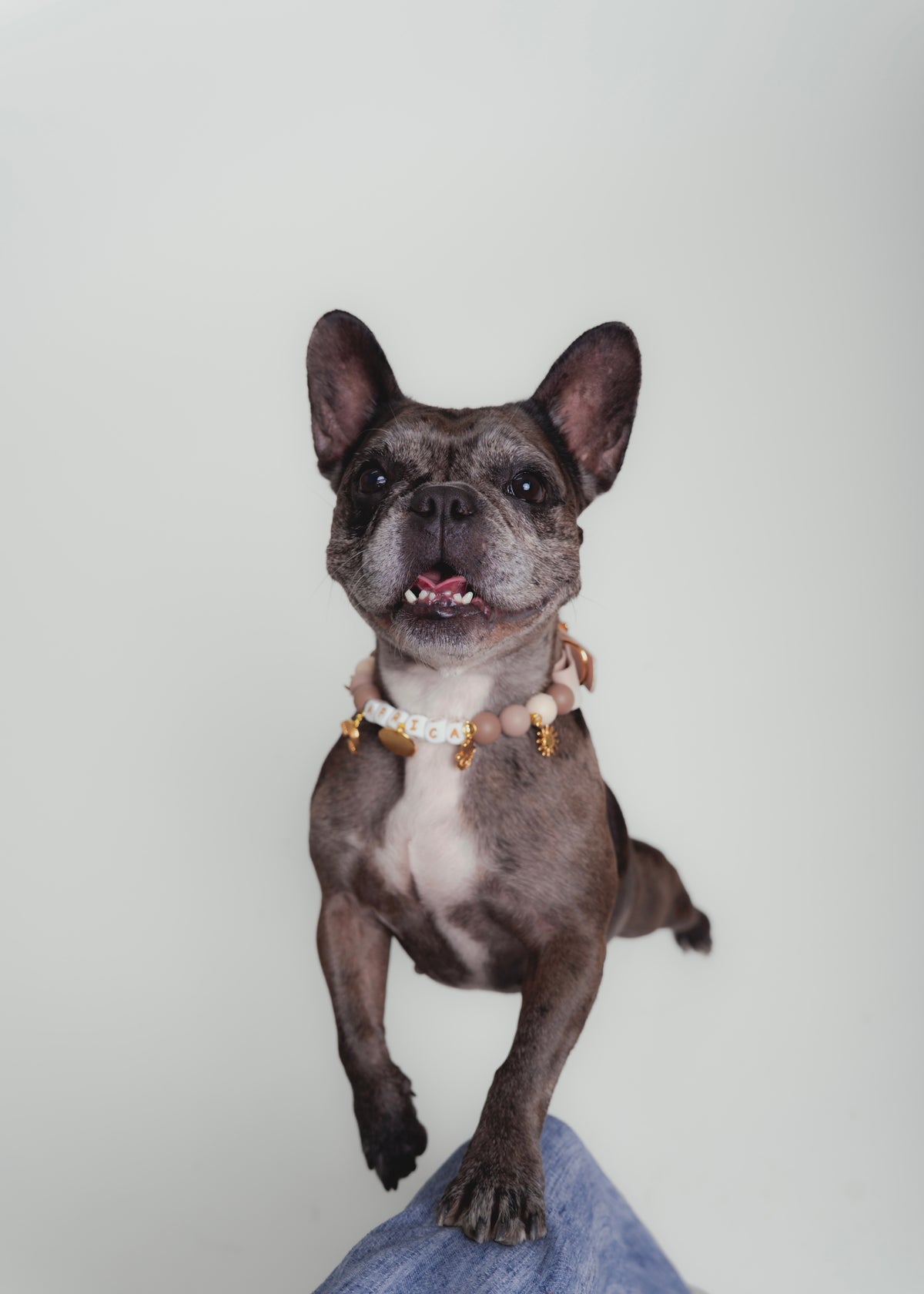 Signature Collar Nude