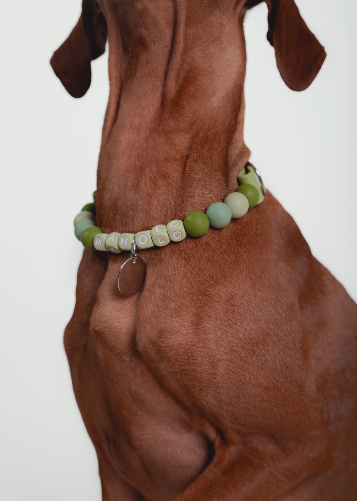 Signature Collar Verde