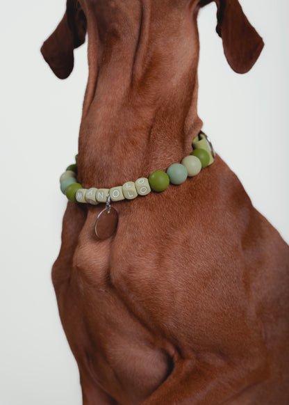 Signature Collar Verde