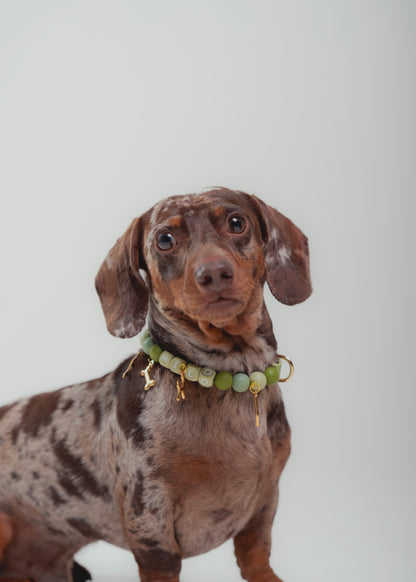 Signature Collar Verde