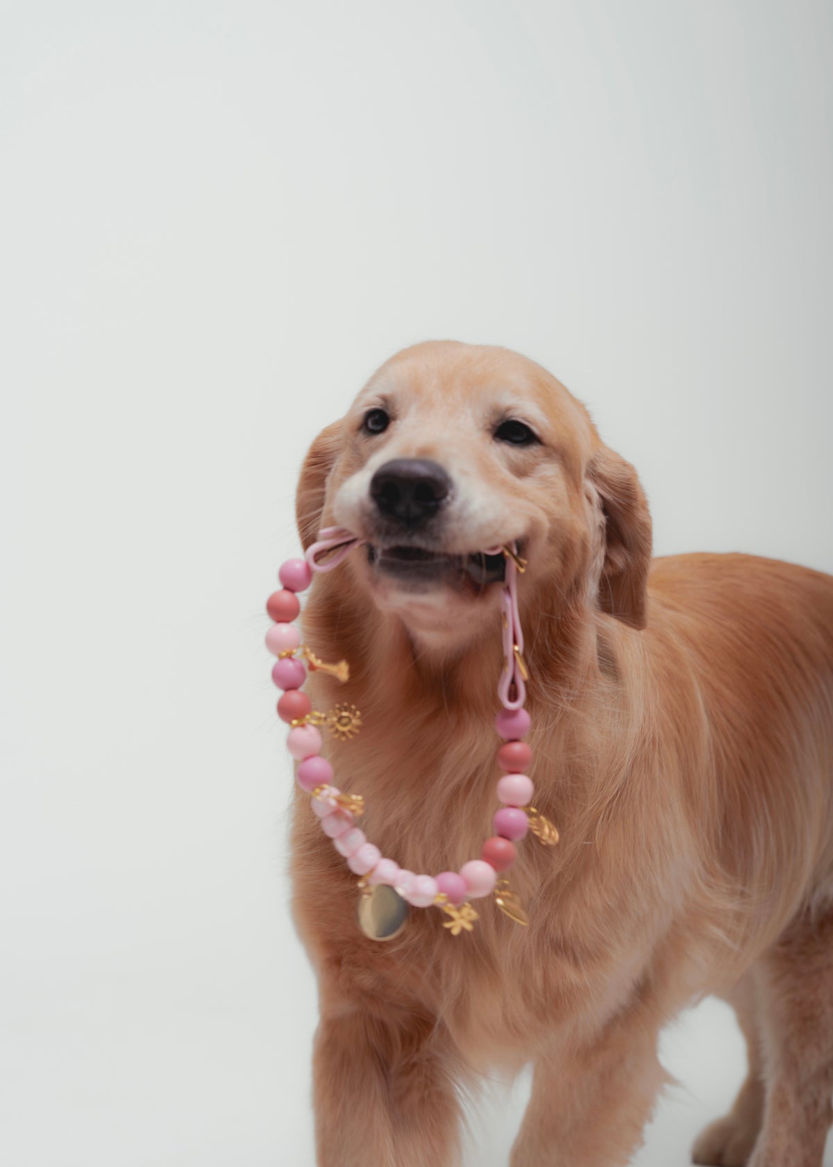 Signature Collar Rosado