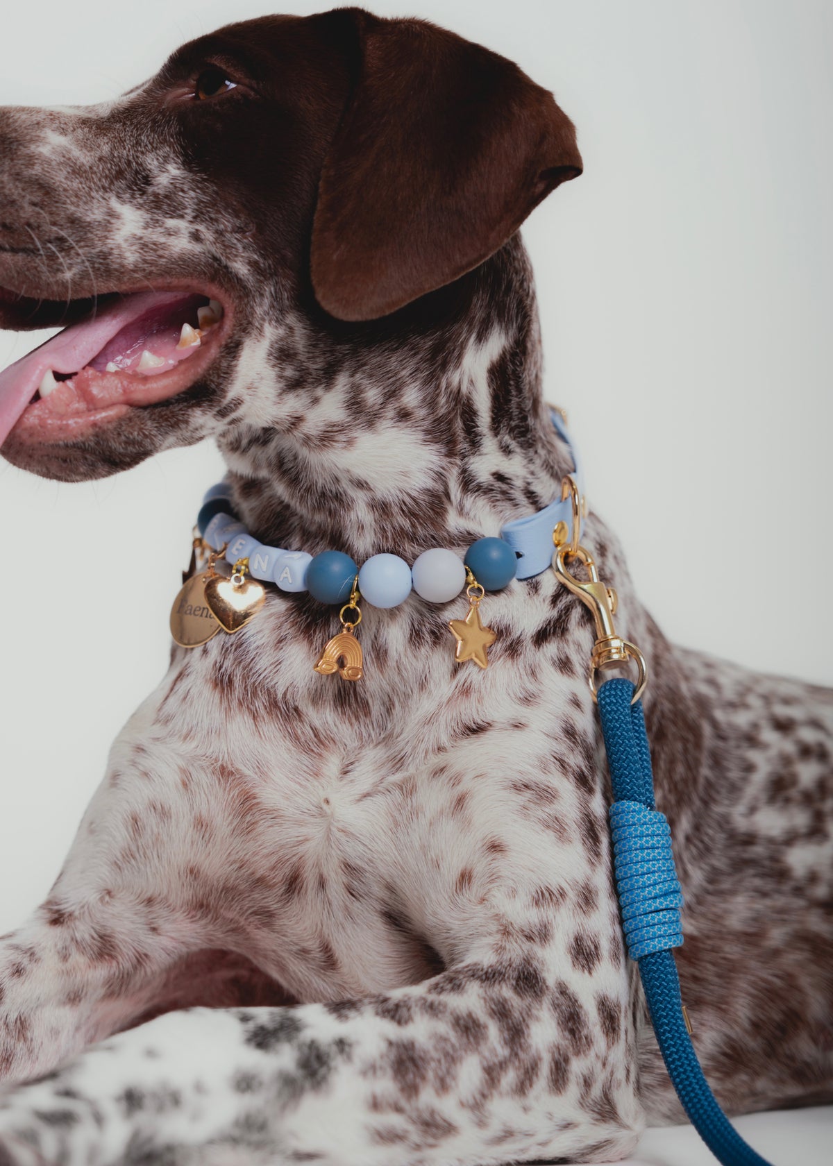 Signature Set azul