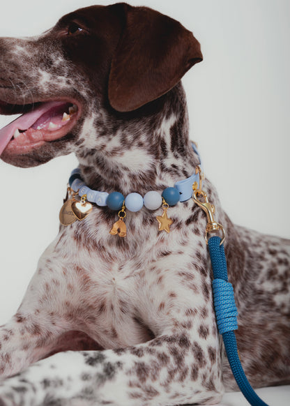 Signature Set azul
