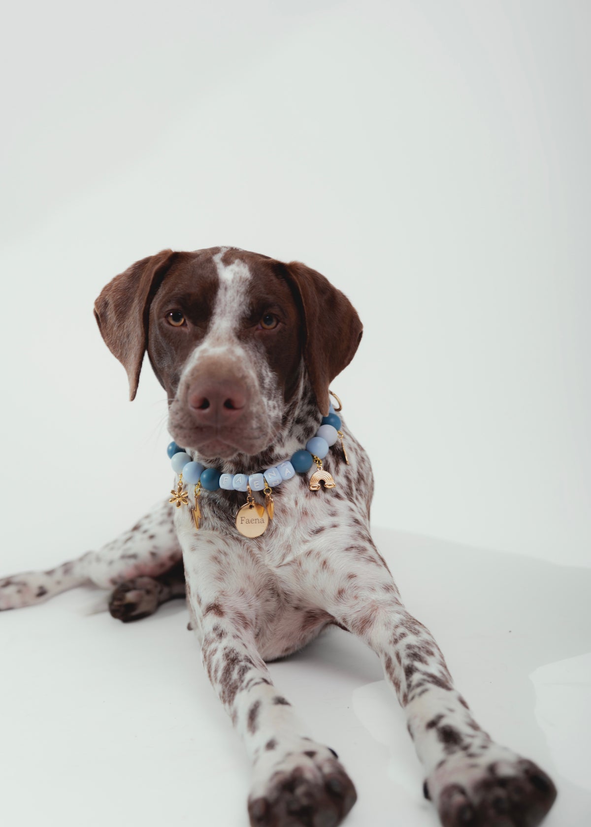 Signature Collar Azul