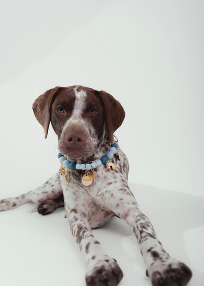 Signature Collar Azul