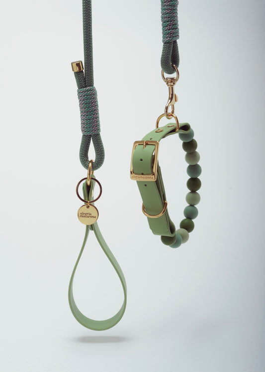 Signature Set verde